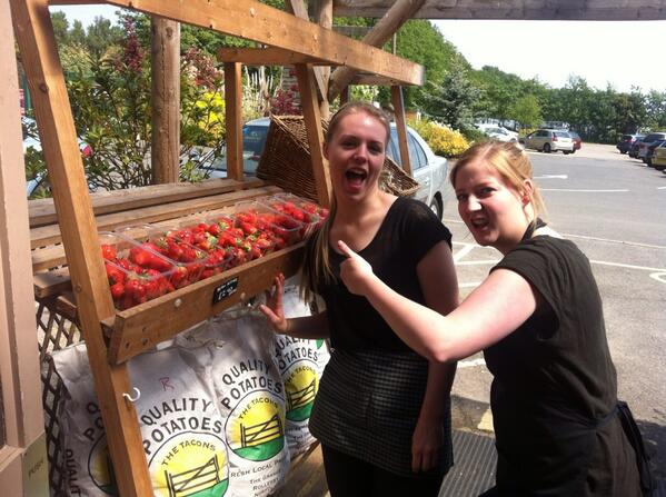 Strawberries & Girls